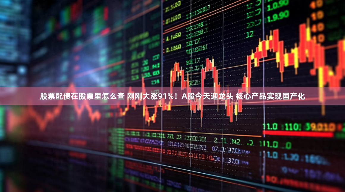 股票配债在股票里怎么查 刚刚大涨91%!A股今天迎龙头 核心产品实现国产化
